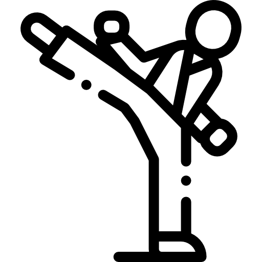 icono 3